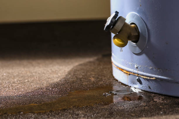 Best Commercial water damage restoration  in New Market, AL