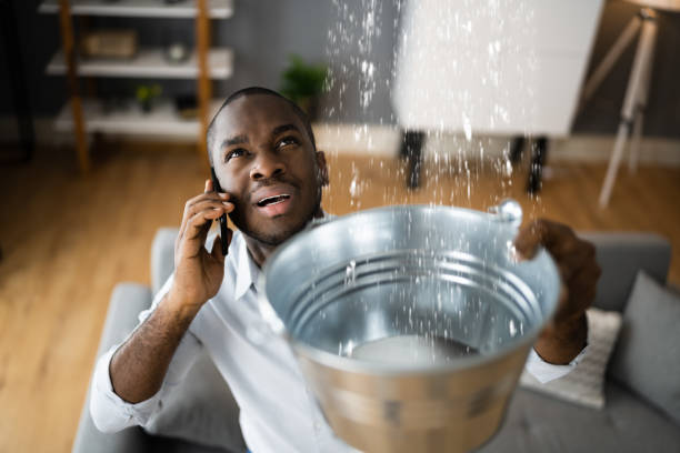 Best Water damage restoration specialists  in New Market, AL