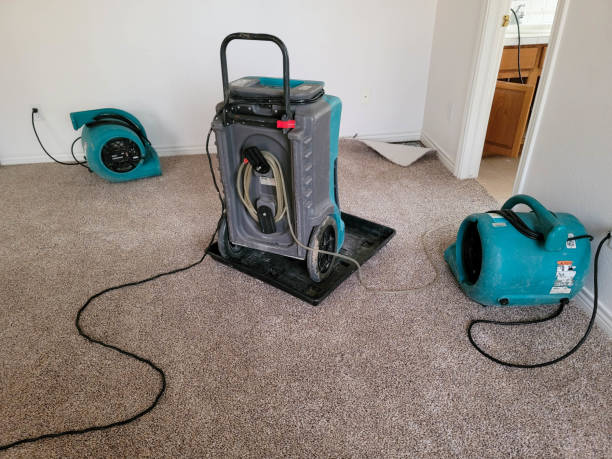 Best Flood restoration services  in New Market, AL