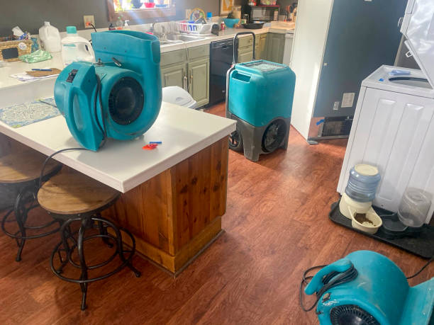 Best Sewage cleanup and water damage restoration  in New Market, AL