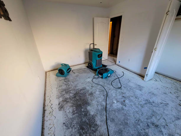 Best Residential water damage restoration  in New Market, AL