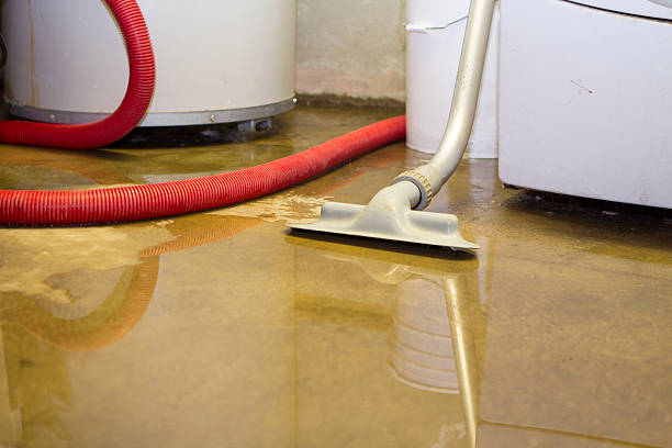 Best Water damage restoration services  in New Market, AL
