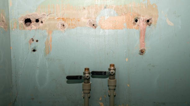 Best 24/7 water damage repair  in New Market, AL
