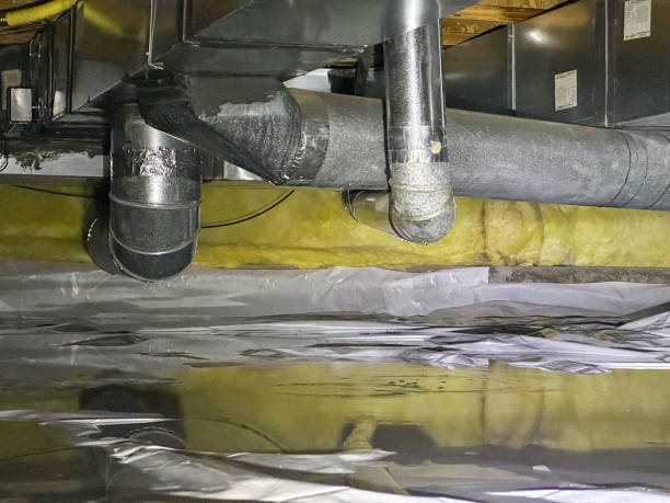 Best Water damage contractors near me  in New Market, AL