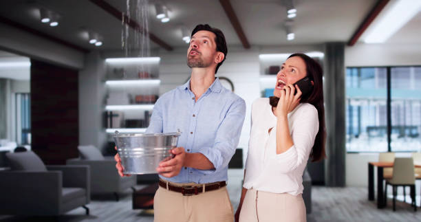 Best Flooded house restoration  in New Market, AL