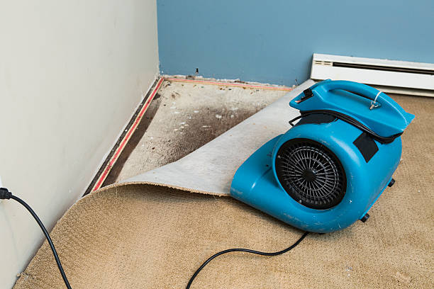 Sewage cleanup and water damage restoration in AL